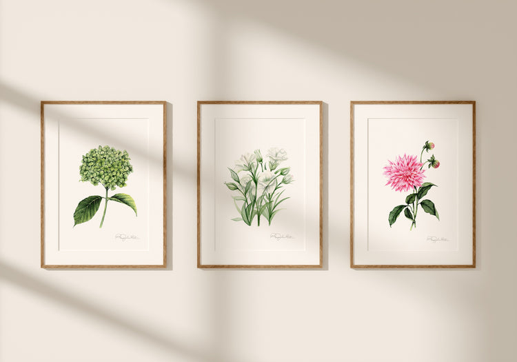 Original Watercolour Paintings
