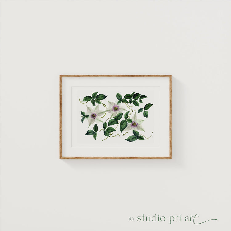 Modern Botanical