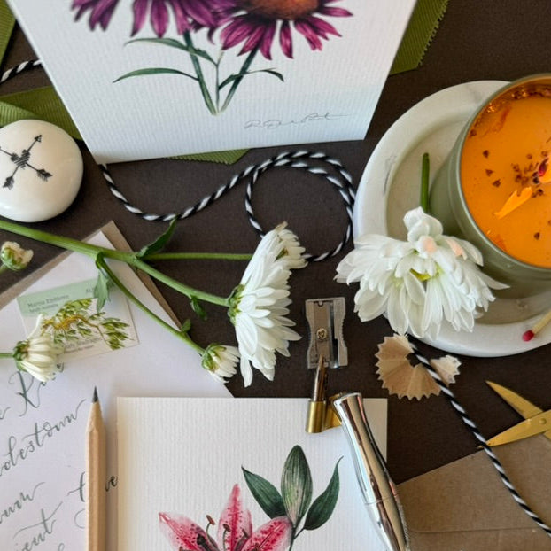 Echinacea Greetings Card