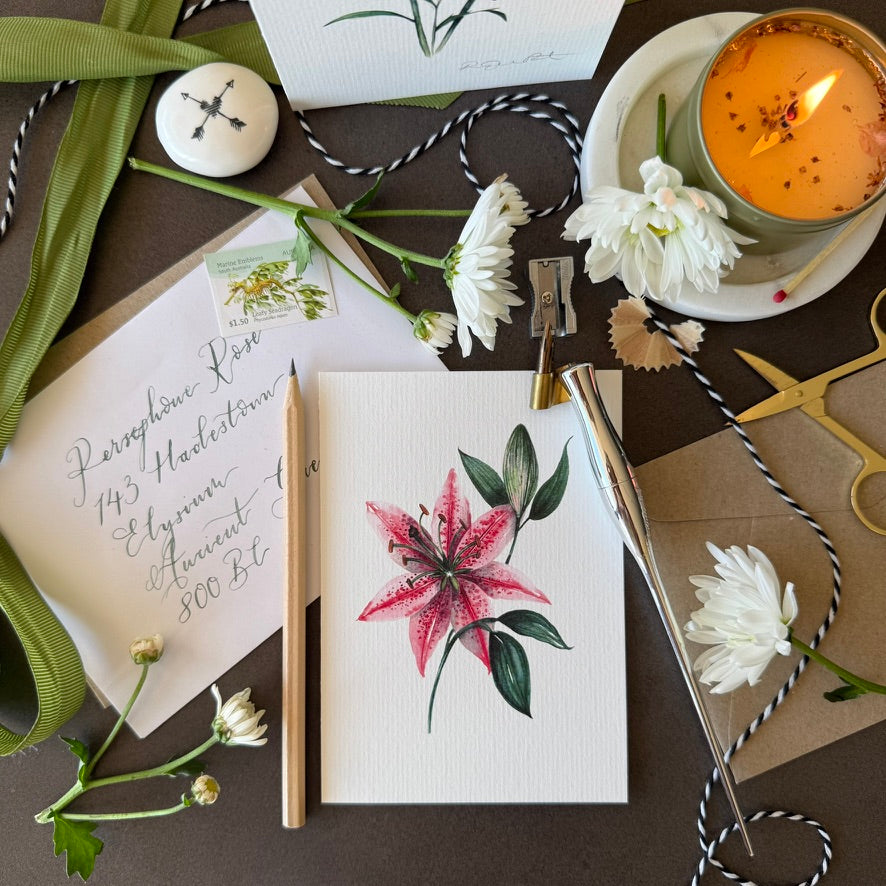Stargazer Greetings Card