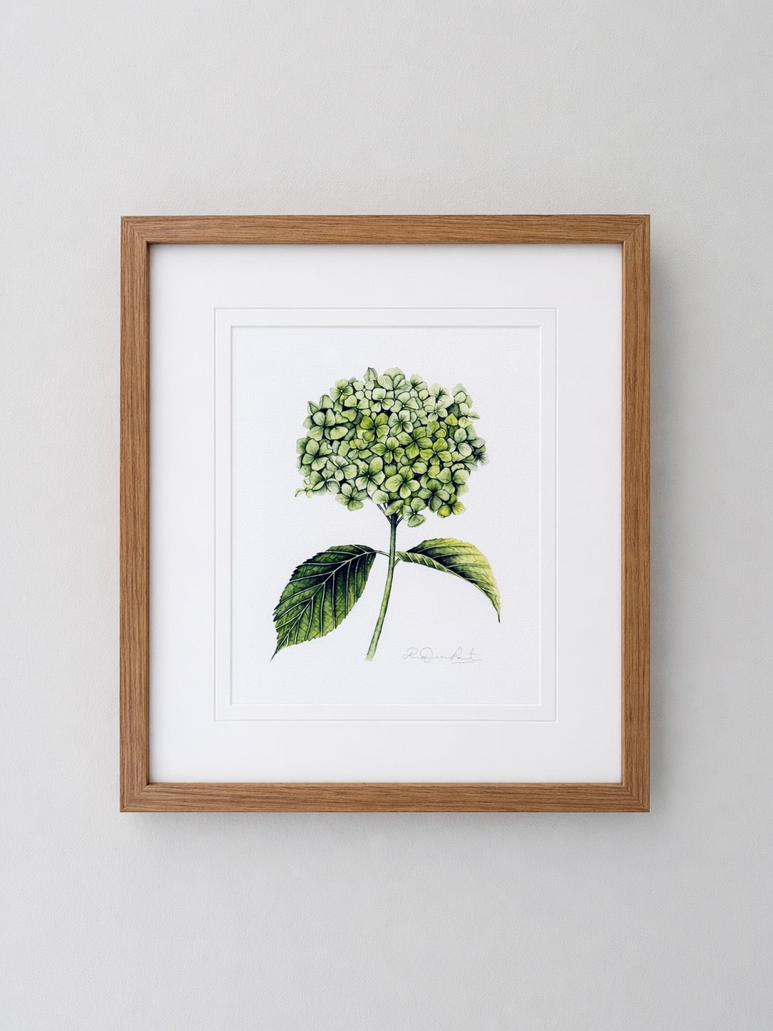 Hydrangea | Original Painting