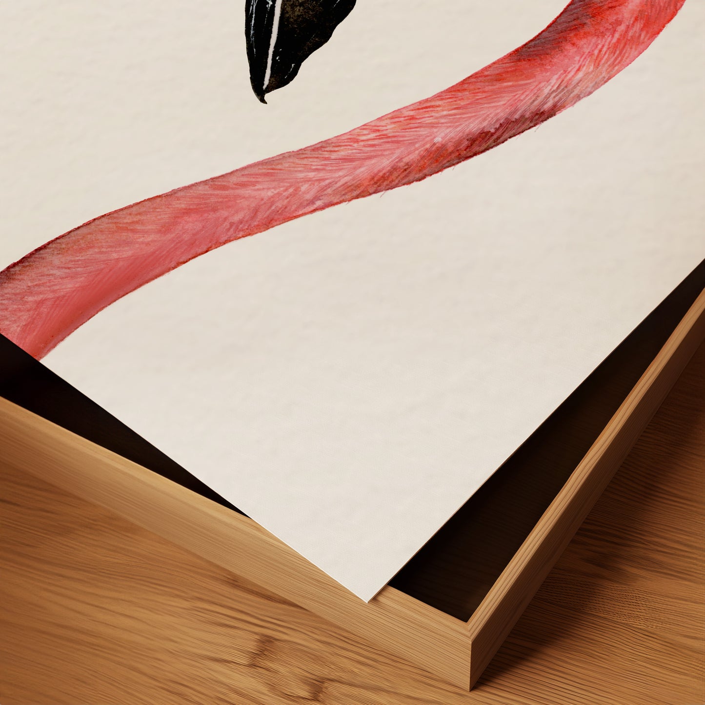 Fahari | Flamingo | Limited Edition Fine Art Print