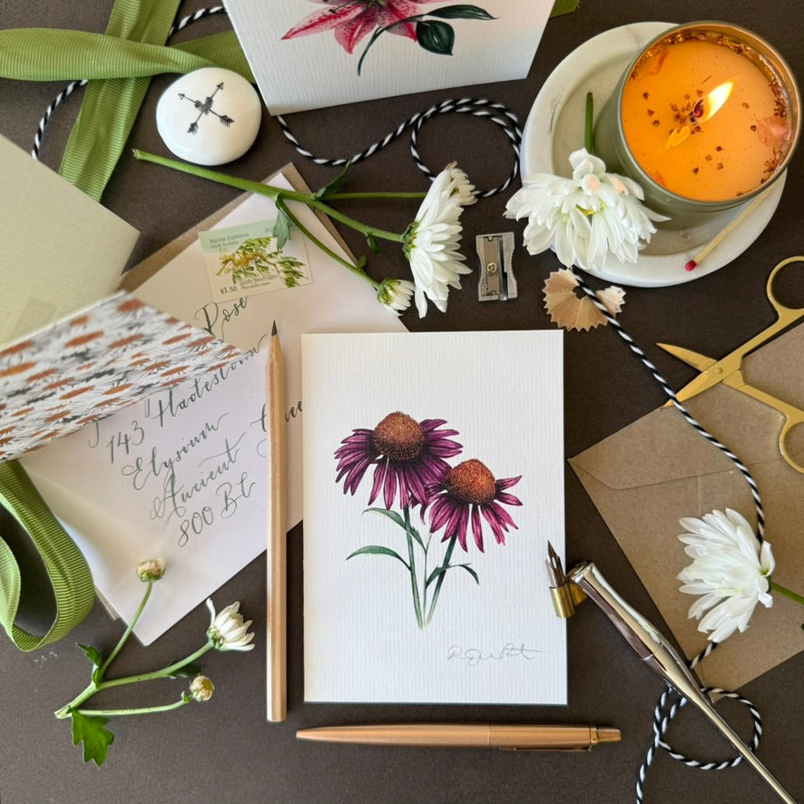 Echinacea Greetings Card