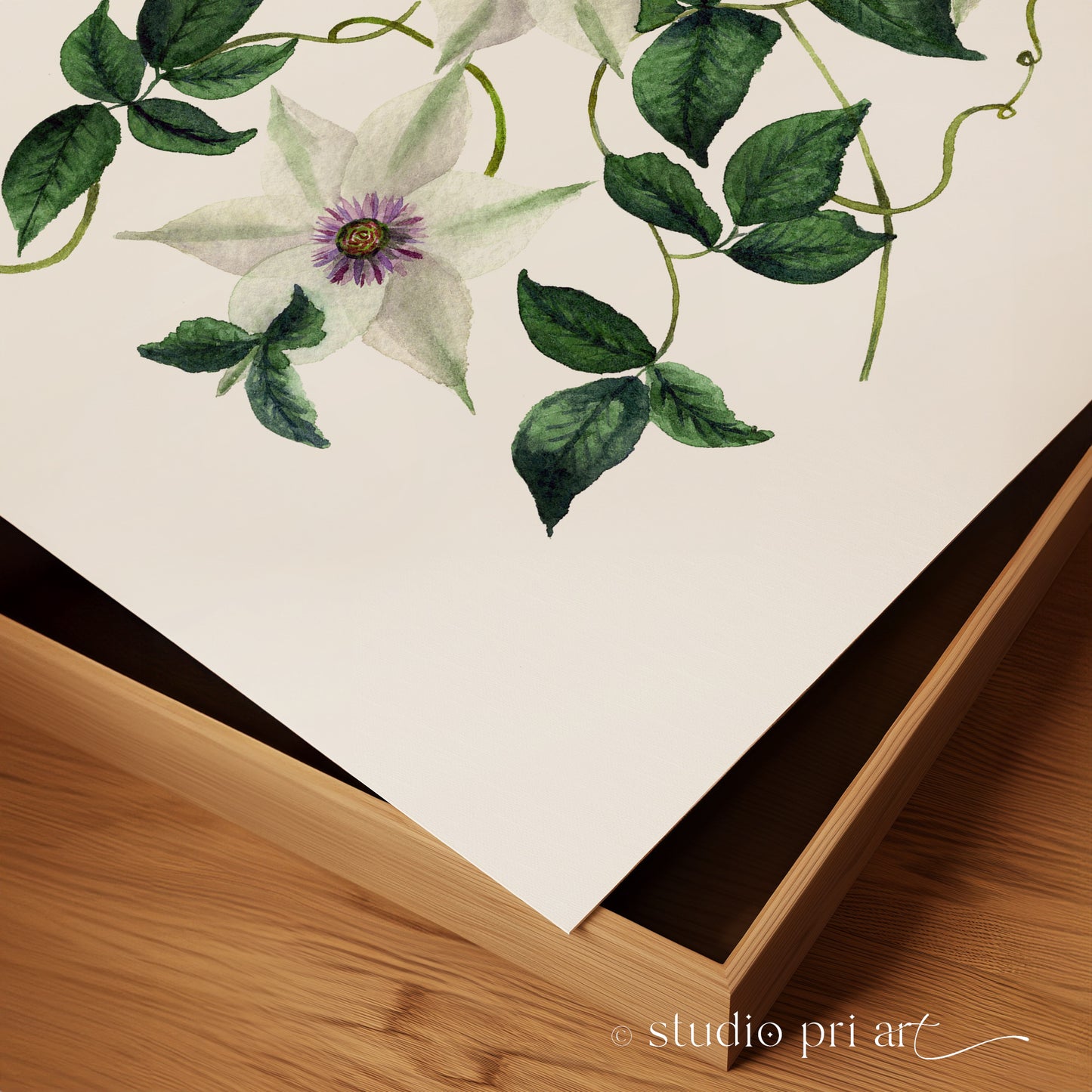 Clematis Fine Art Print