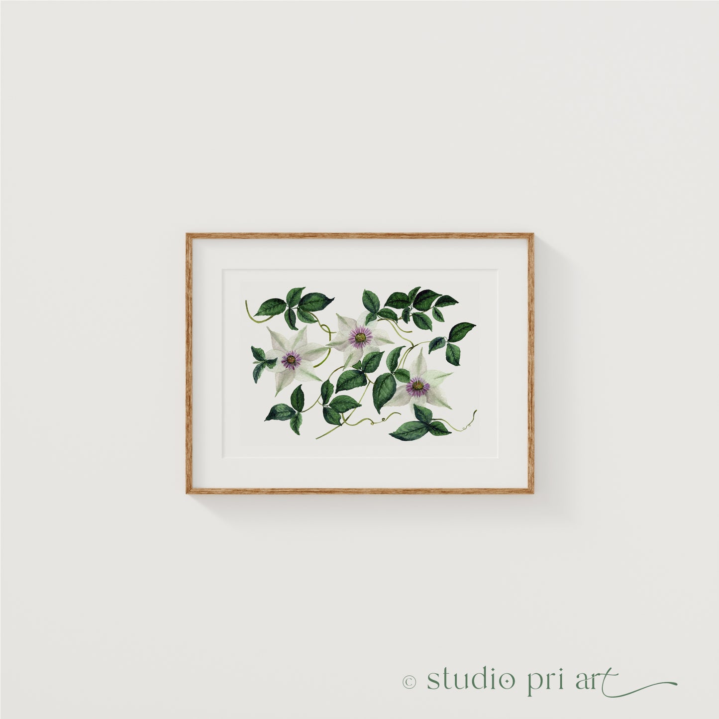 Clematis Fine Art Print