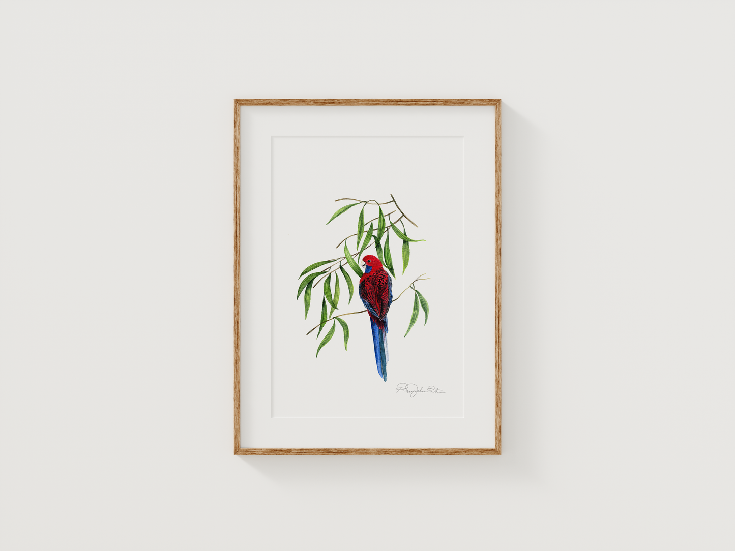 Crimson Rosella | Original Painting