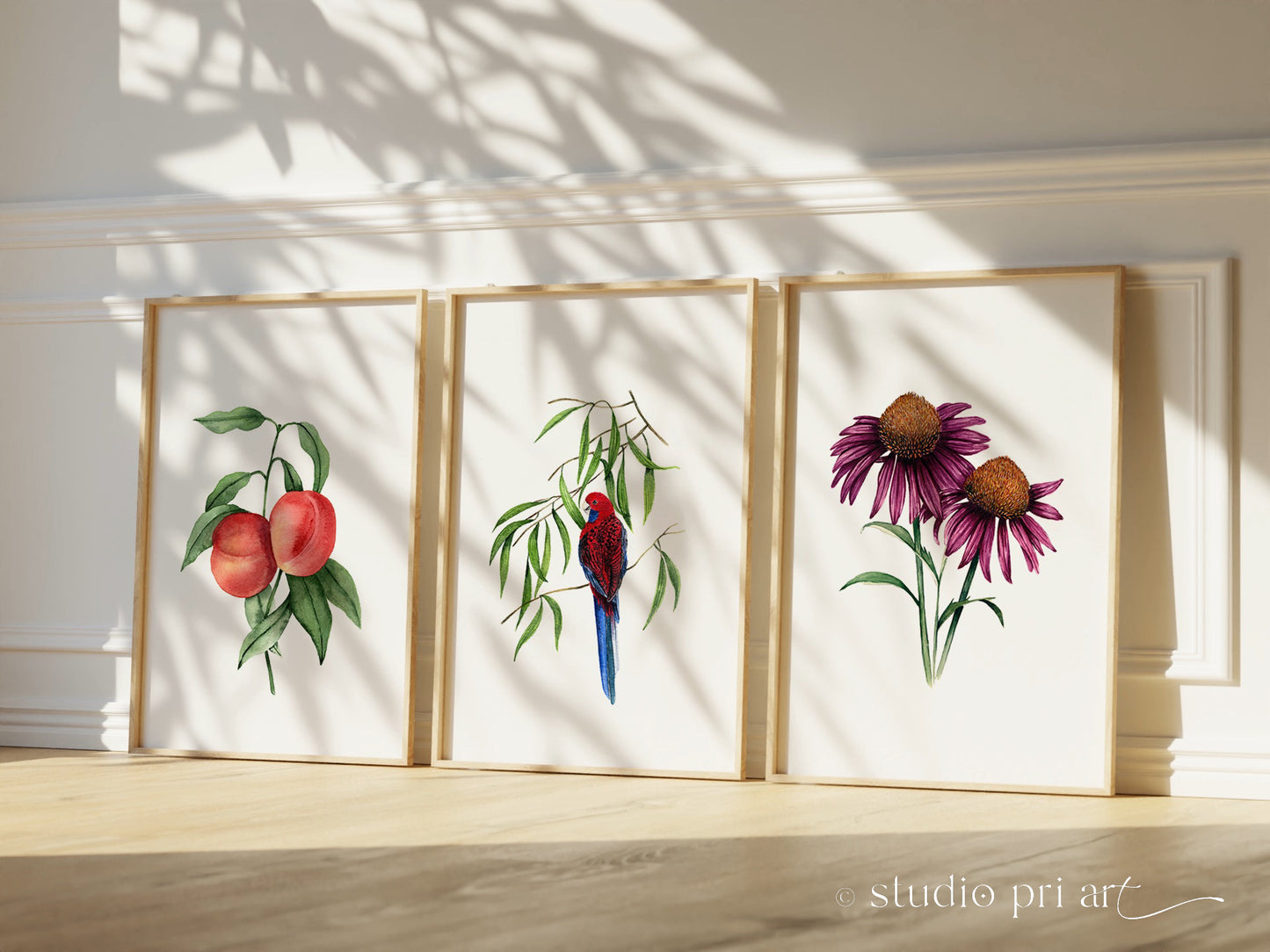 Crimson Rosella Fine Art Print