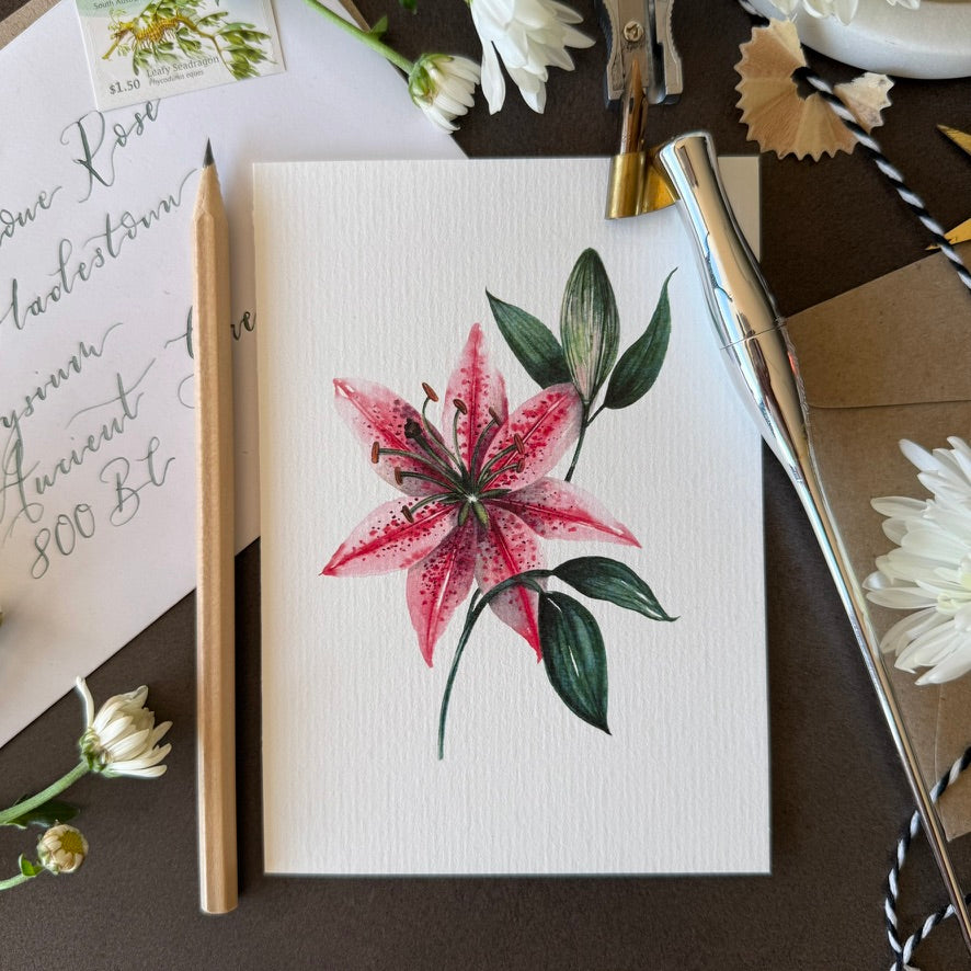Stargazer Greetings Card