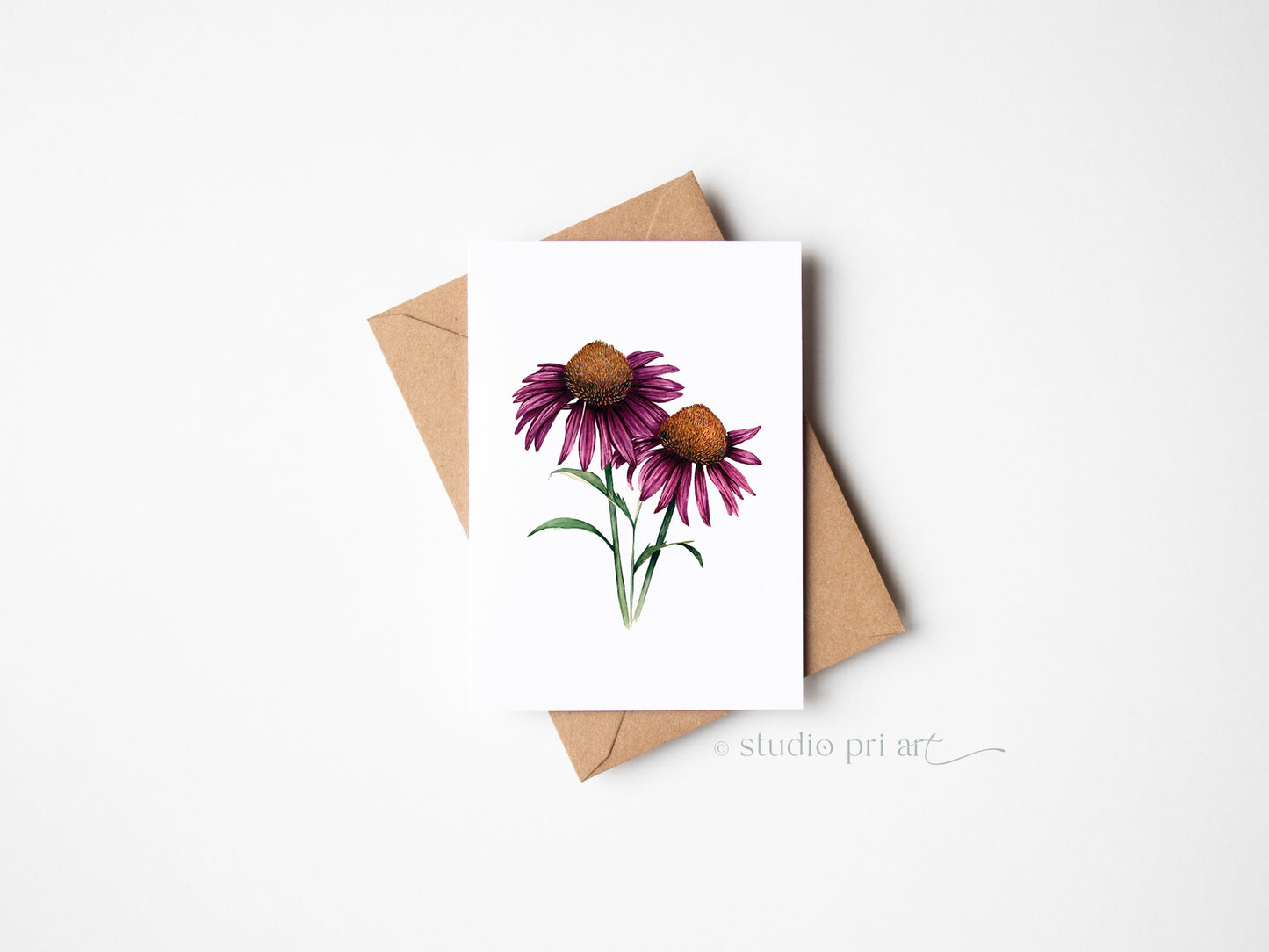 Echinacea Greetings Card