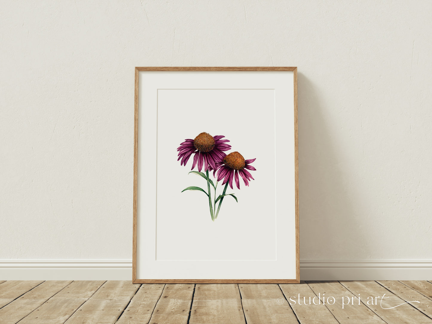 Echinacea | Cone Flower Fine Art Print