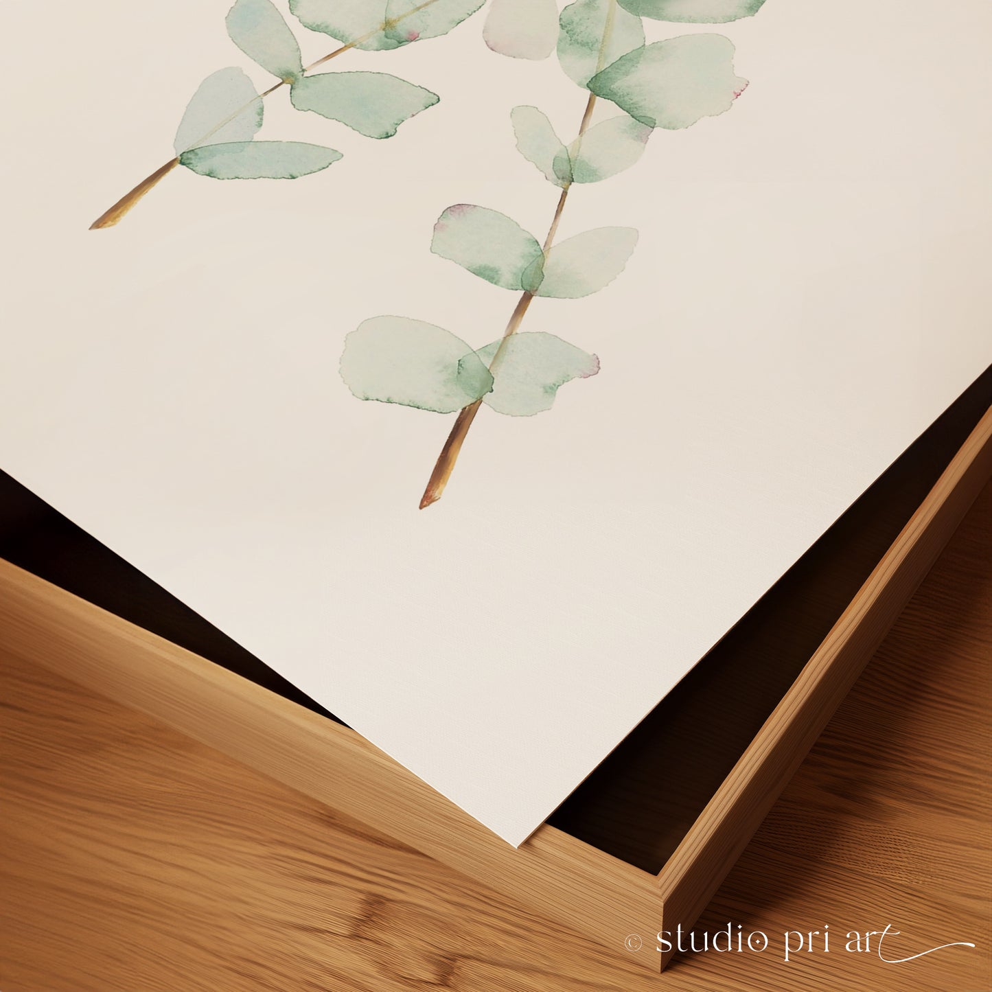 'Elysia' Eucalyptus Fine Art Print