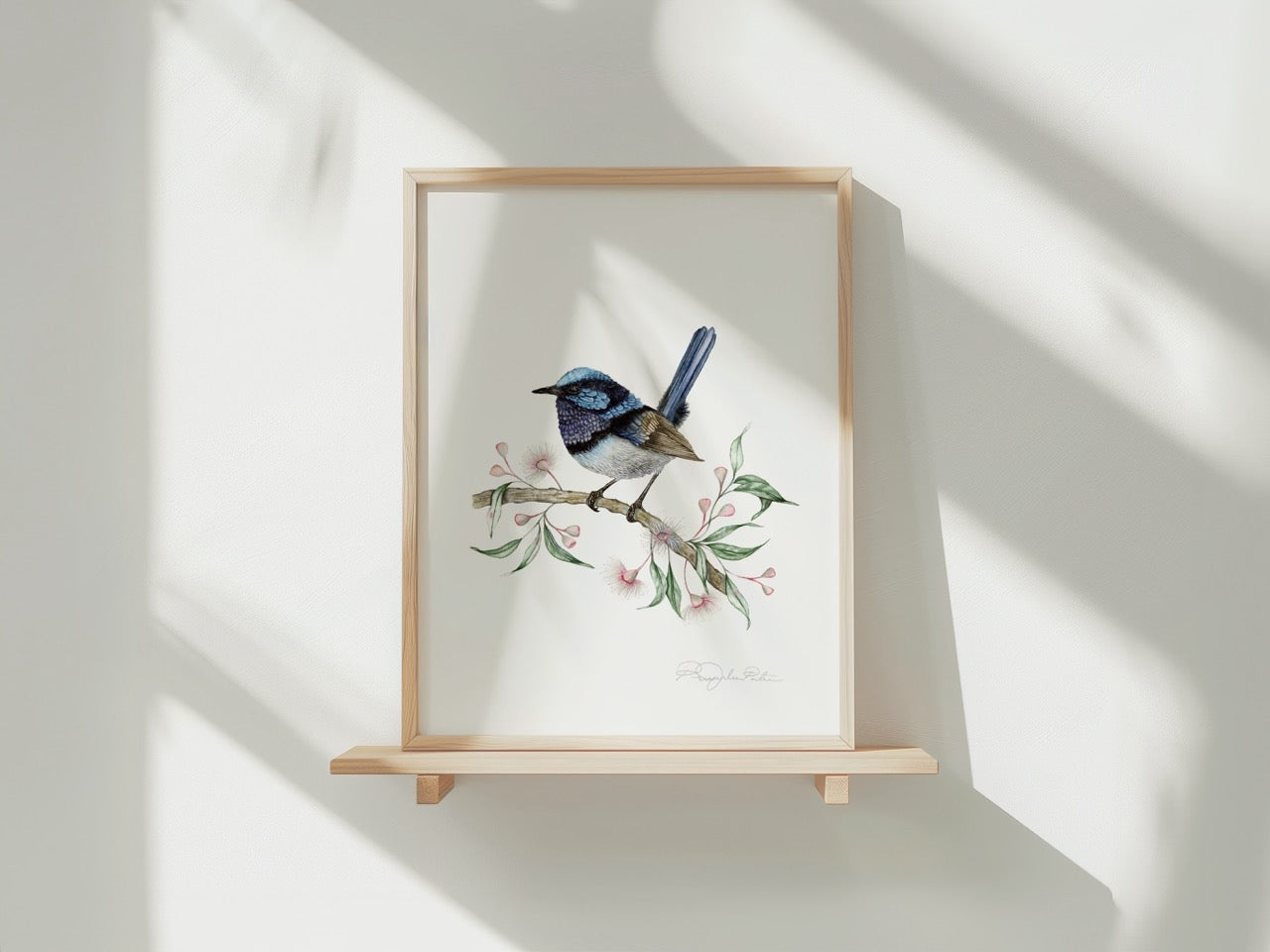 Charis | Superb Fairywren Fine Art Print