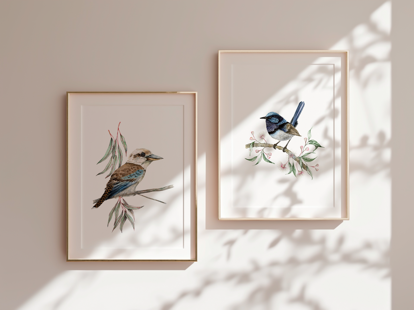 Charis | Superb Fairywren Fine Art Print