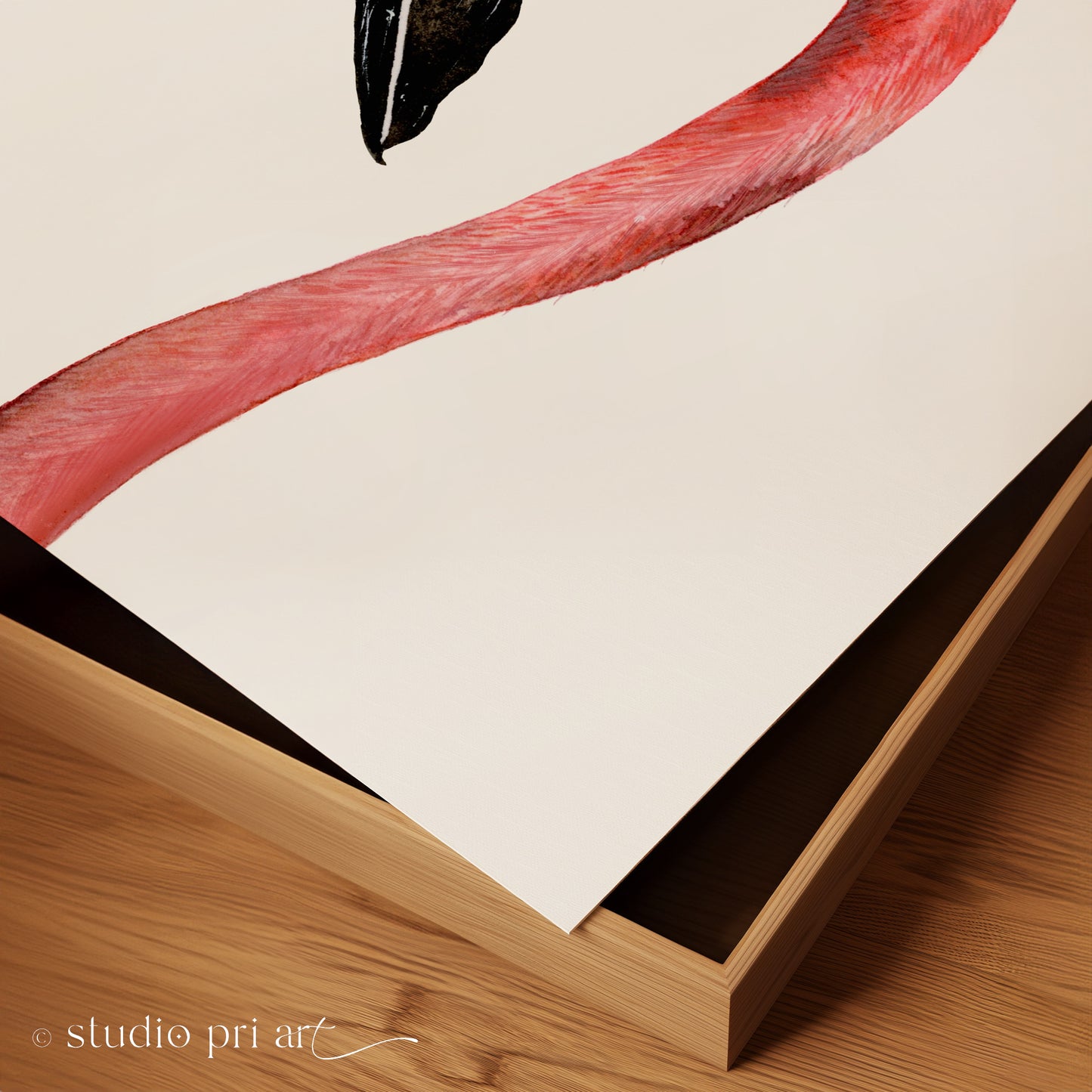 Fahari | Flamingo | Limited Edition Fine Art Print