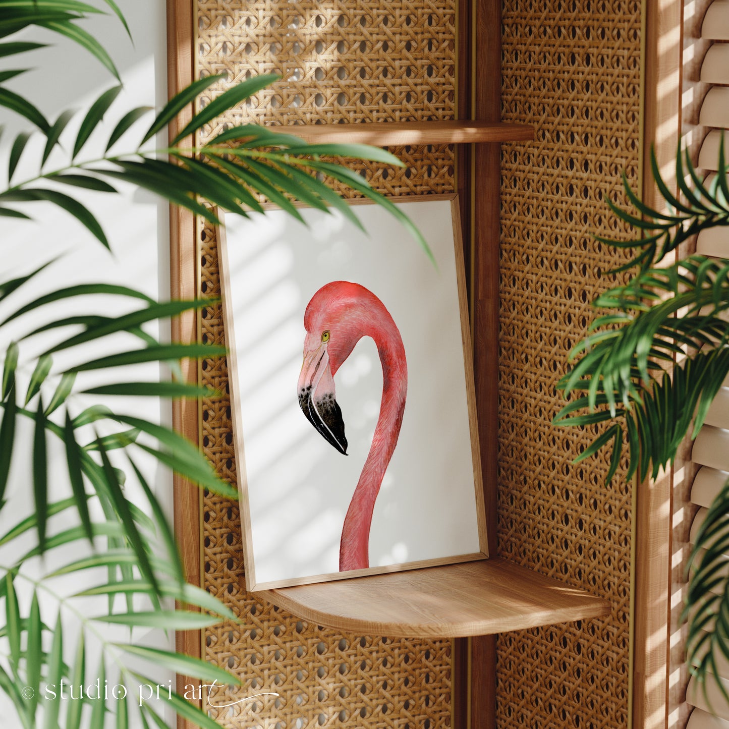 Fahari | Flamingo | Limited Edition Fine Art Print