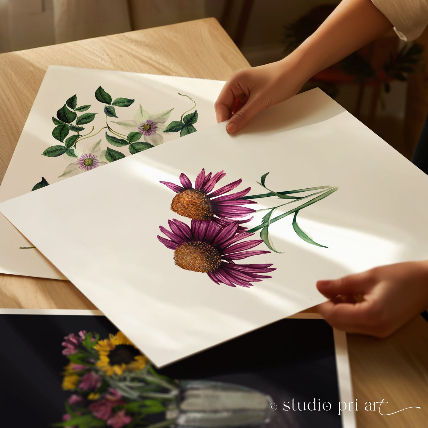 Echinacea | Cone Flower Fine Art Print