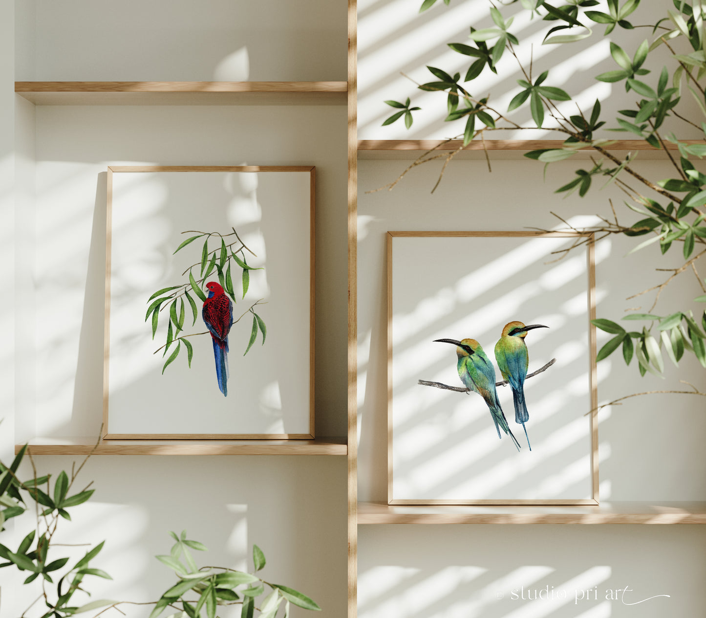 Melissai | Rainbow Bee Eaters Fine Art Print