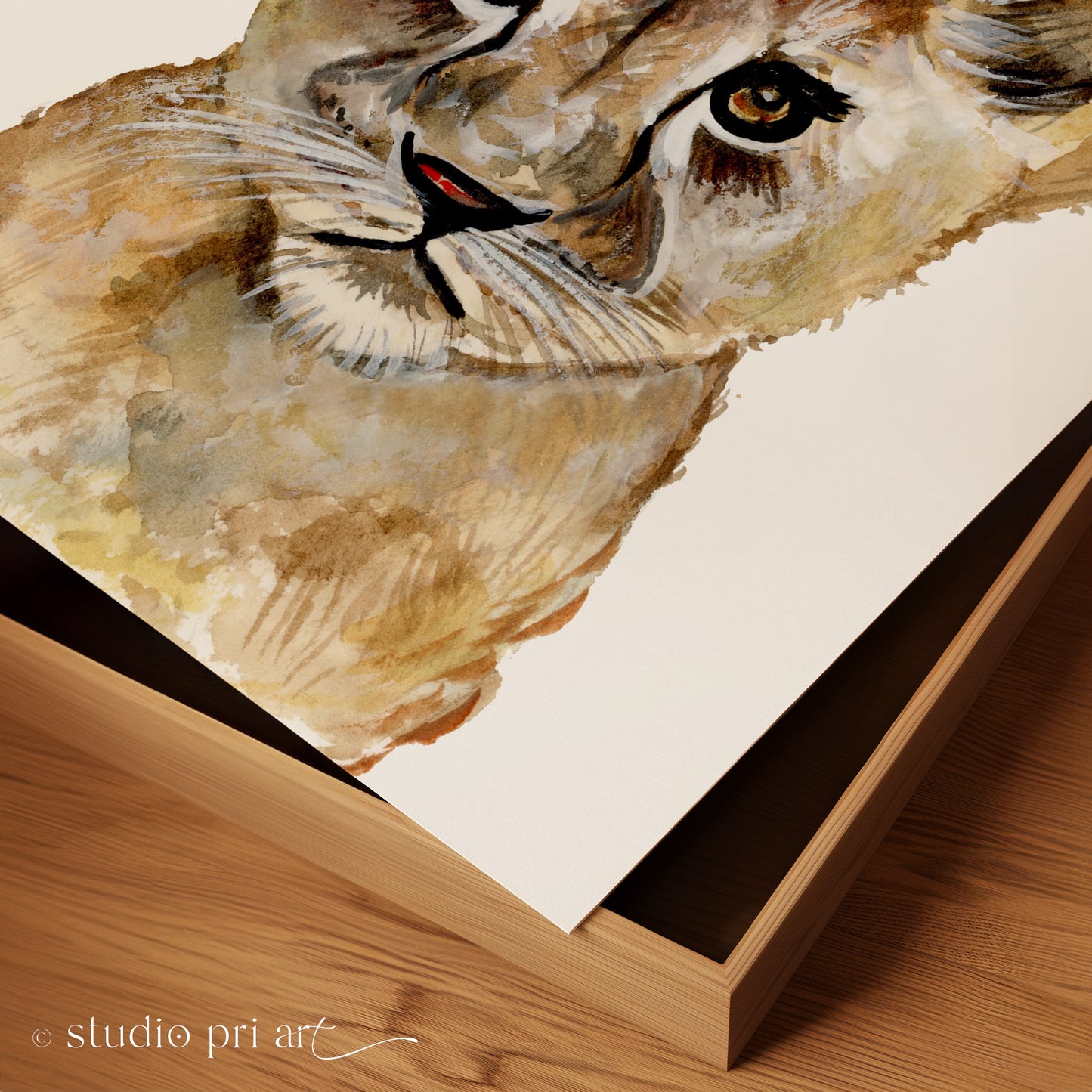 "Simba" the Lion Cub - Limited Edition Fine Art Print