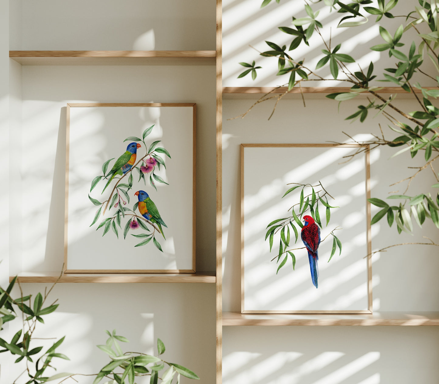 Iris | Rainbow Lorikeets Fine Art Print