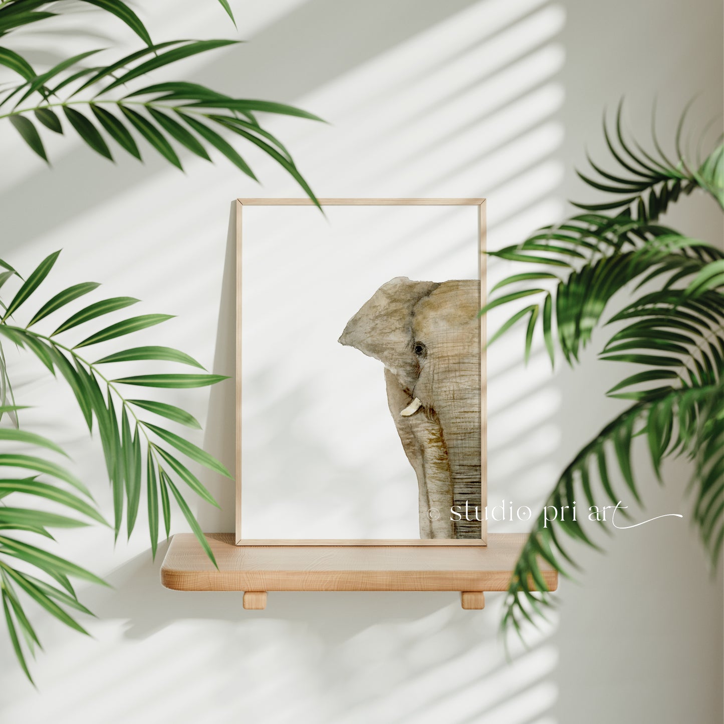 "Amara" the Elephant - Limited Edition Fine Art Print
