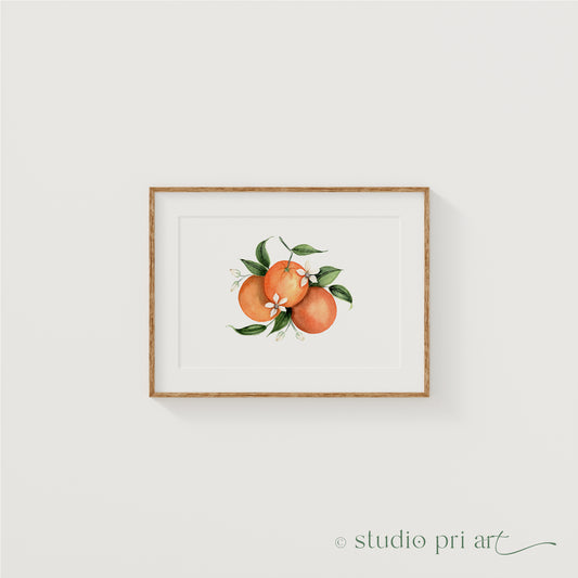 Orange Blossom Fine Art Print