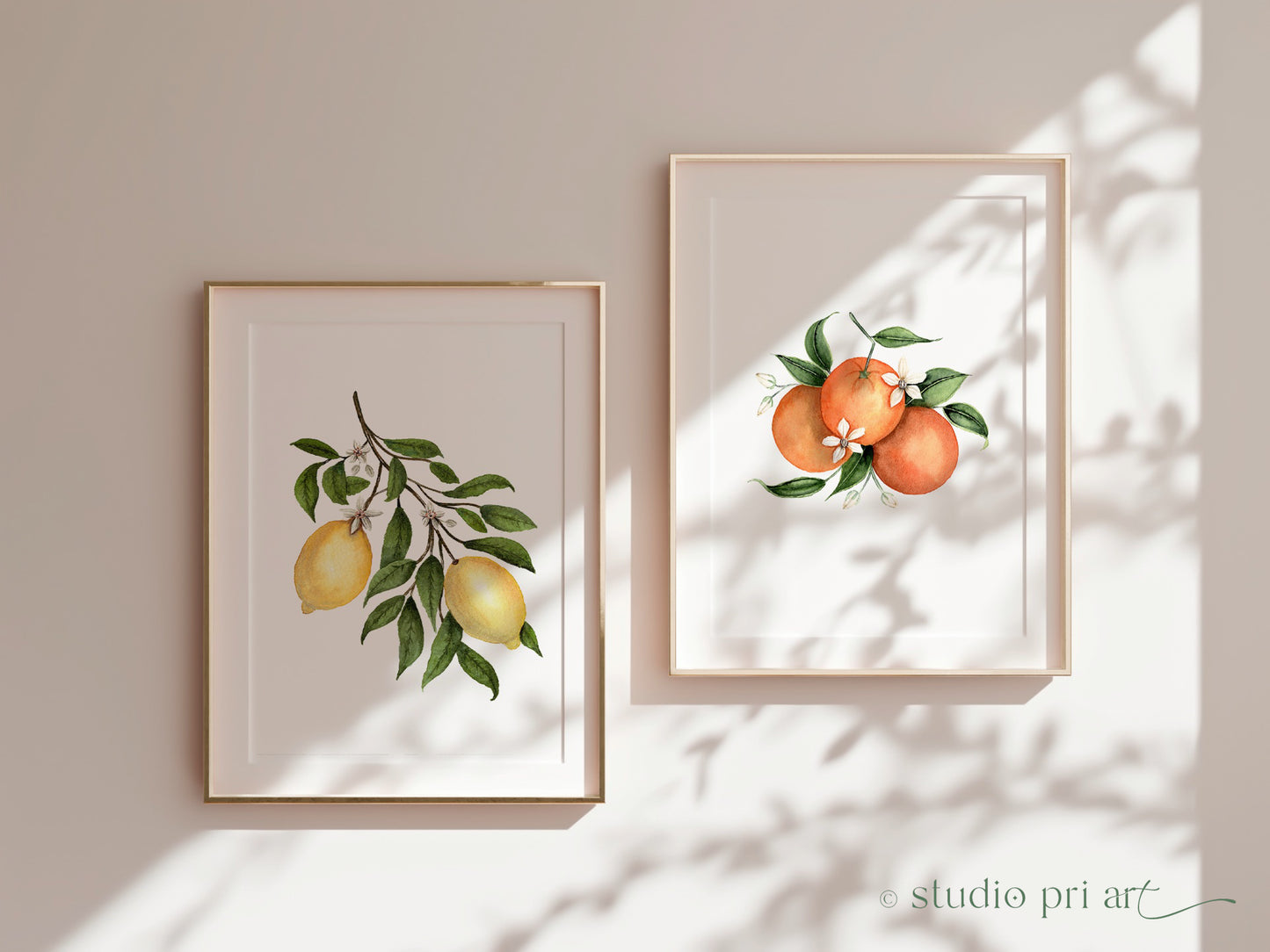 Limona | Lemon Blossom Fine Art Print