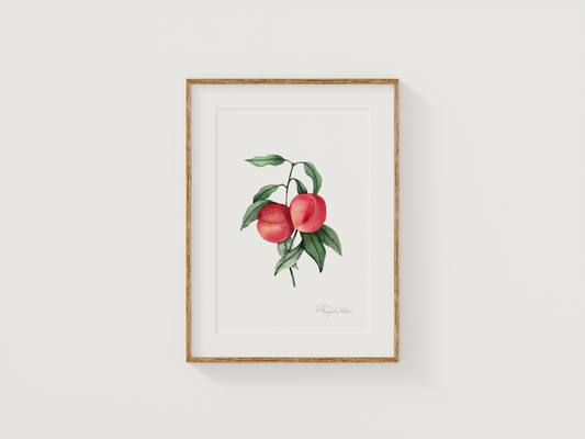 Vintage Peaches | Original Painting