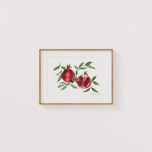 Punica Granatum | Pomegranate | Original Painting