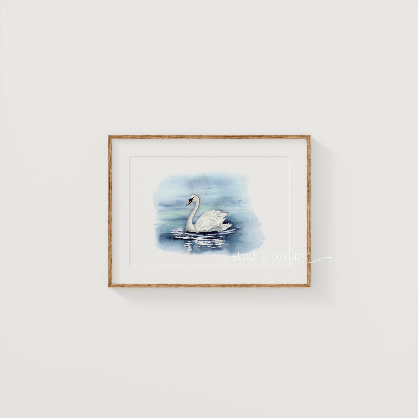 'Serenity' Swan Fine Art Print