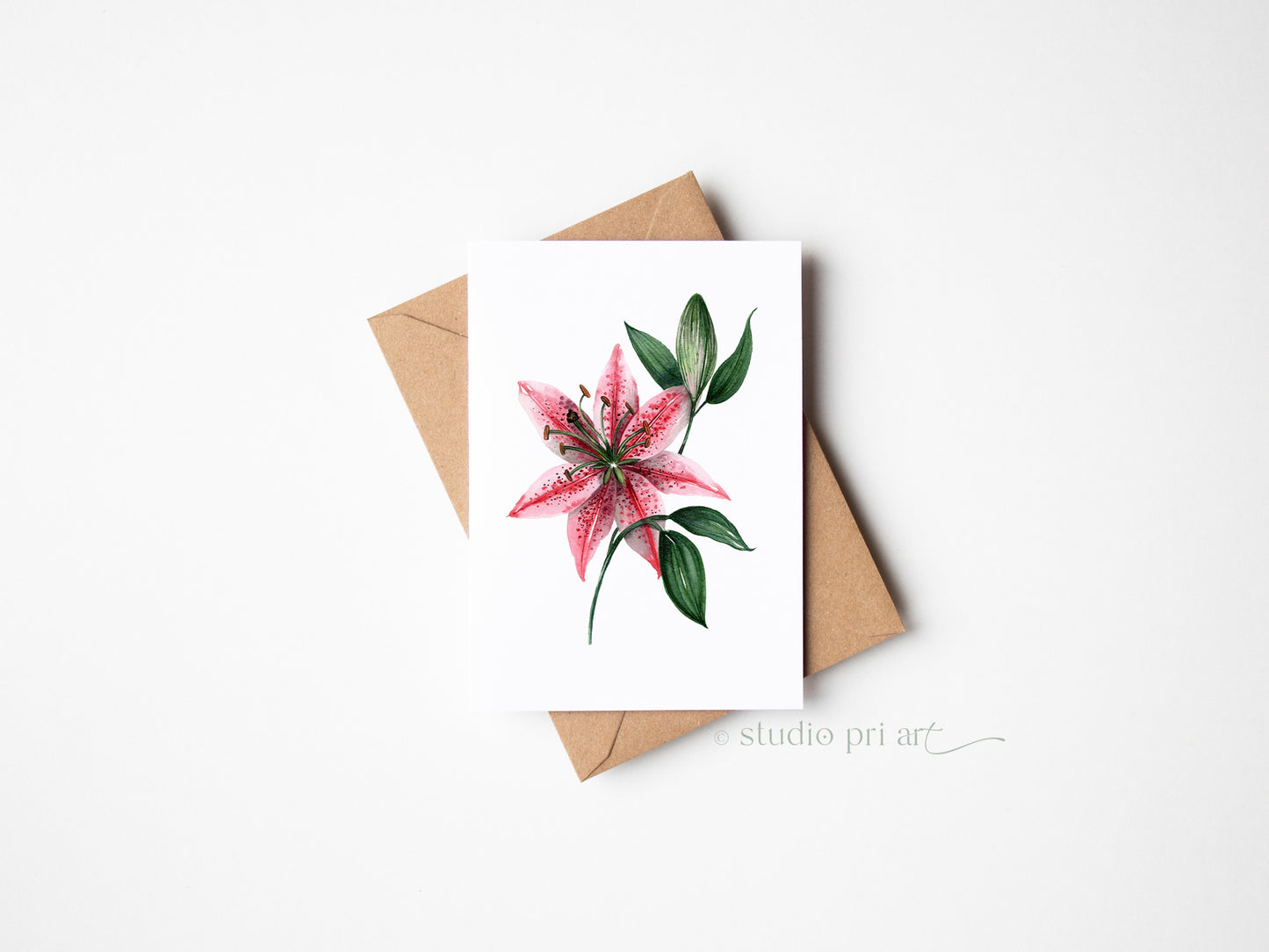 Stargazer Greetings Card
