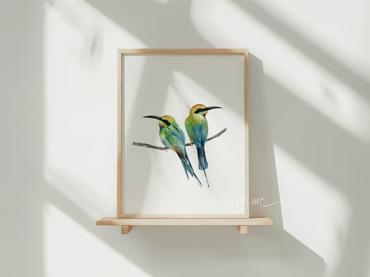 Melissai | Rainbow Bee Eaters Fine Art Print