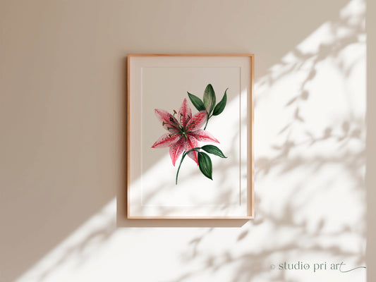 Lilia | Stargazer Lily Fine Art Print