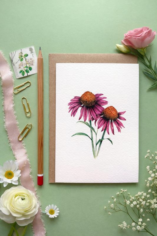 Cone Flower Botanical Greetings Card