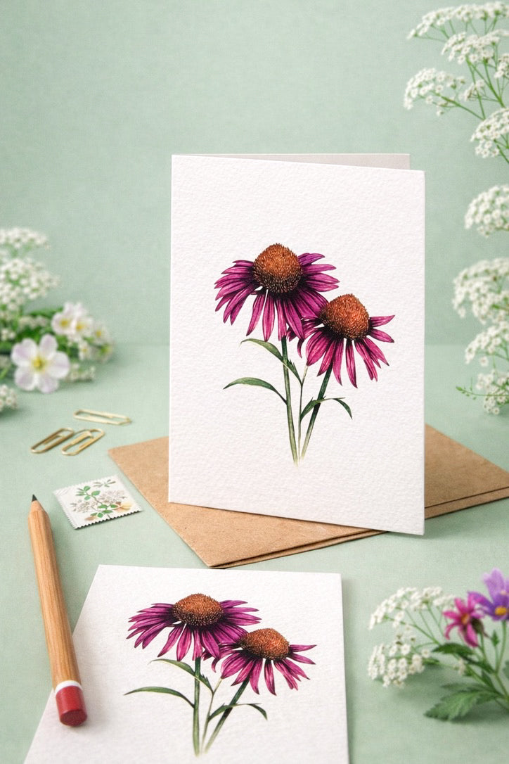 Cone Flower Botanical Greetings Card