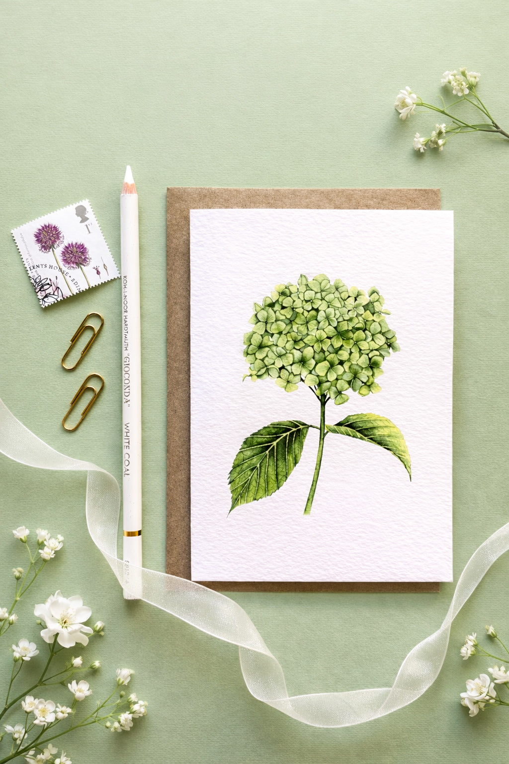 Hydrangea Botanical Greetings Card