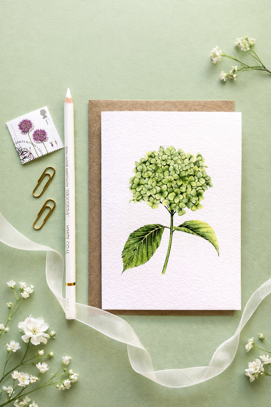 Hydrangea Botanical Greetings Card