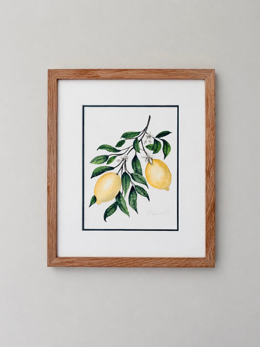 Citrus x limon | Original Painting