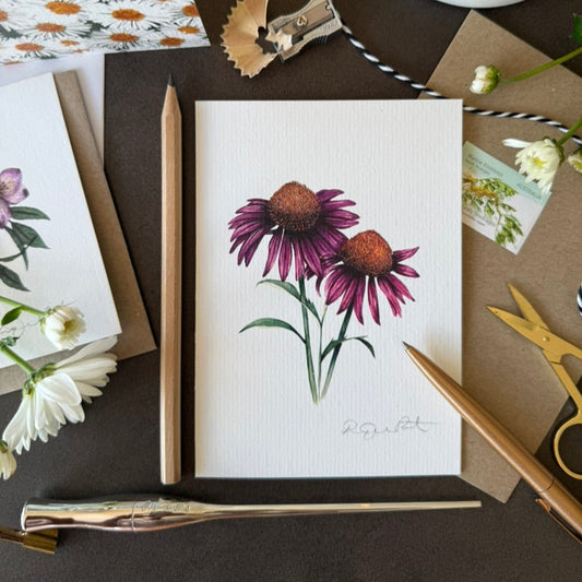 Echinacea Greetings Card