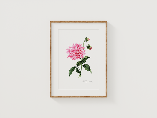 Dahlia | Original Painting
