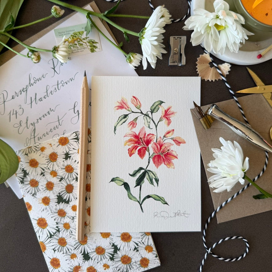 Daisies Greetings Card