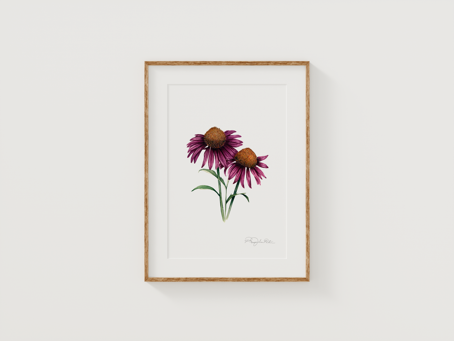 Echinacea | Original Painting