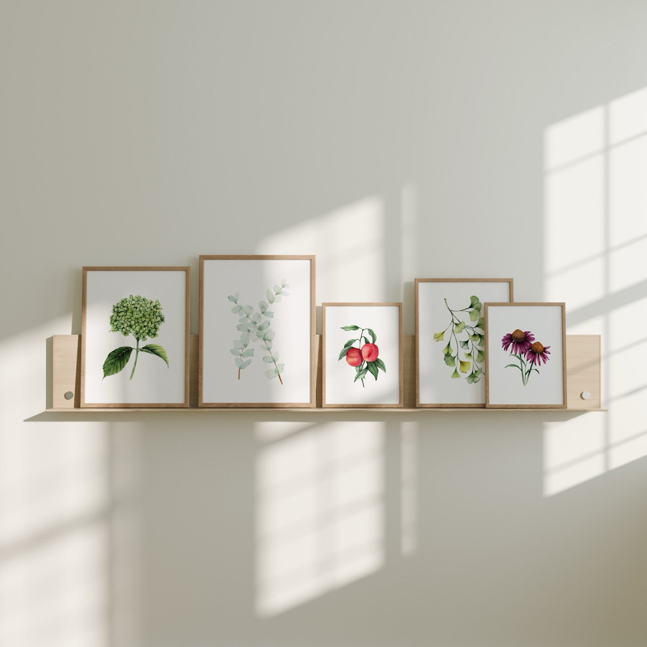 Eucaleia | Eucalyptus Fine Art Print