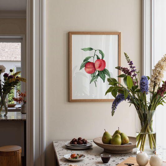 Persica | Vintage Peaches Fine Art Print