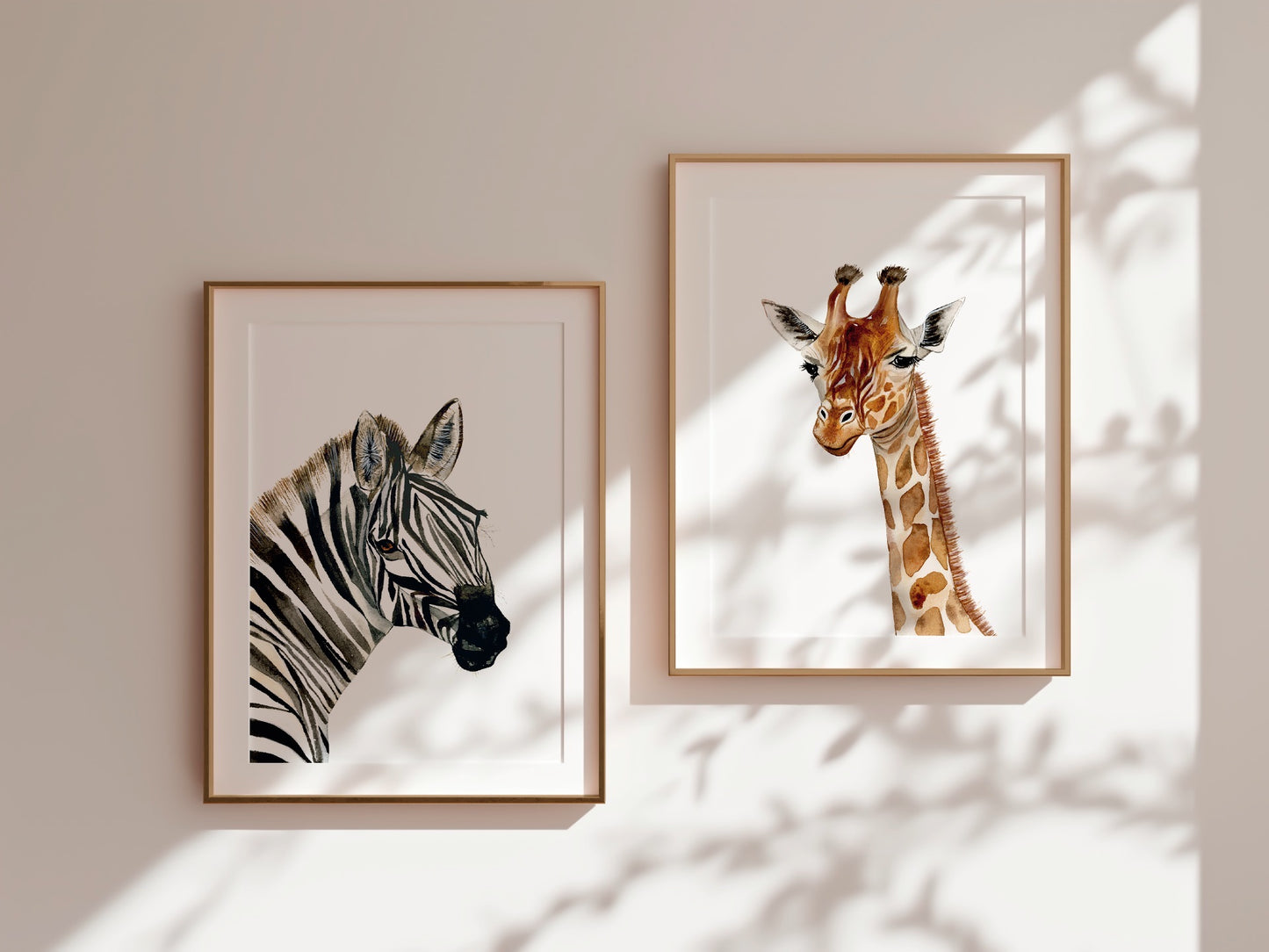 Zahara | Zebra | Limited Edition Fine Art Print