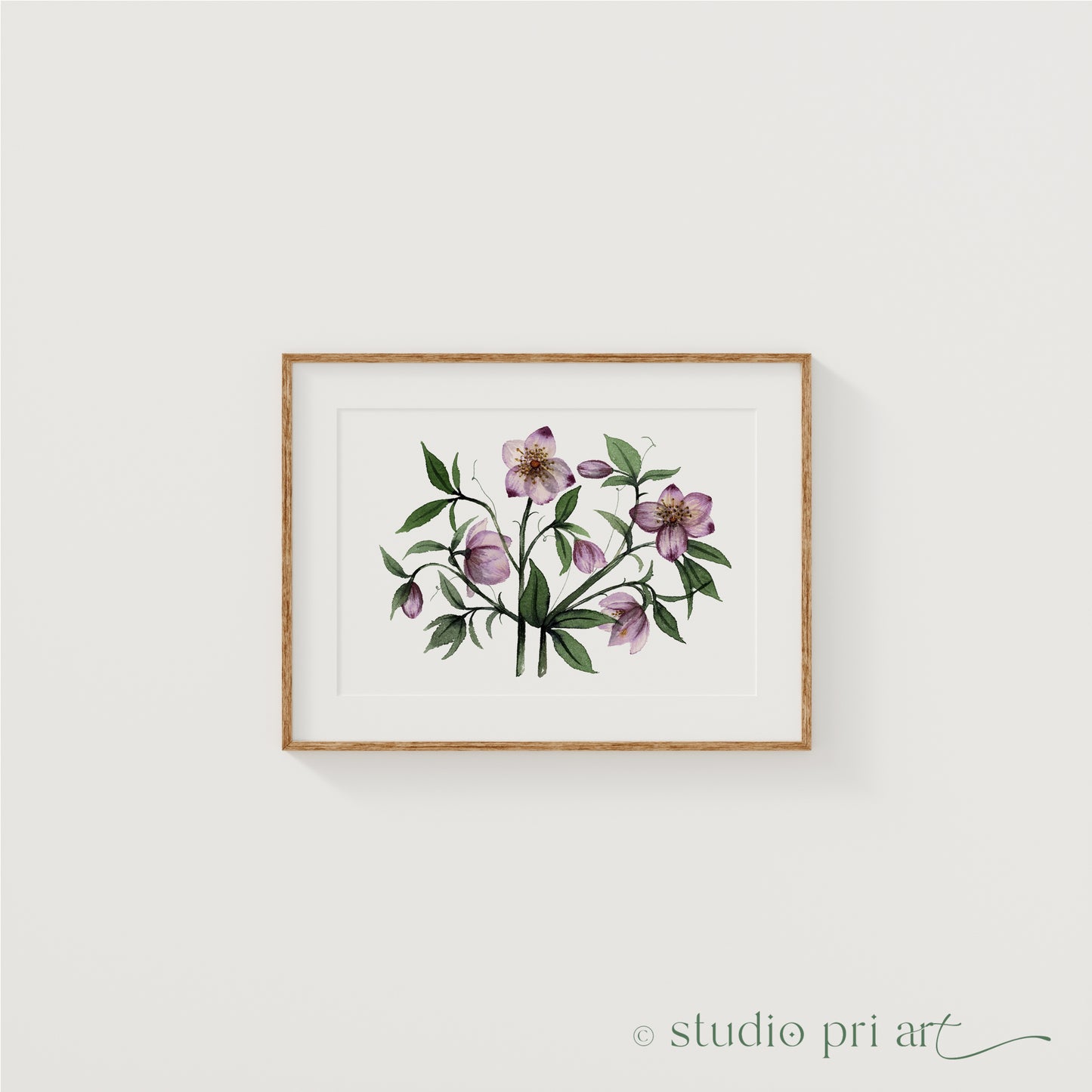 Hellea | Hellebores Fine Art Print