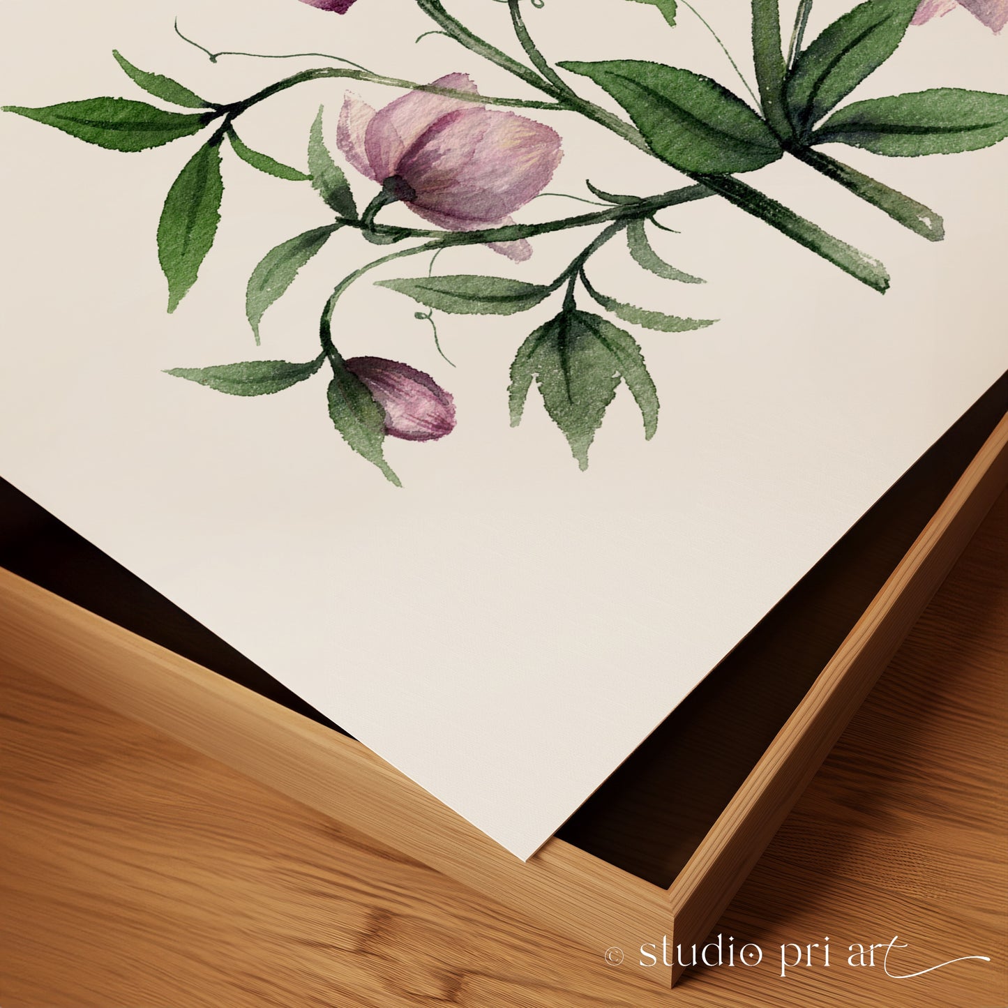 Hellea | Hellebores Fine Art Print