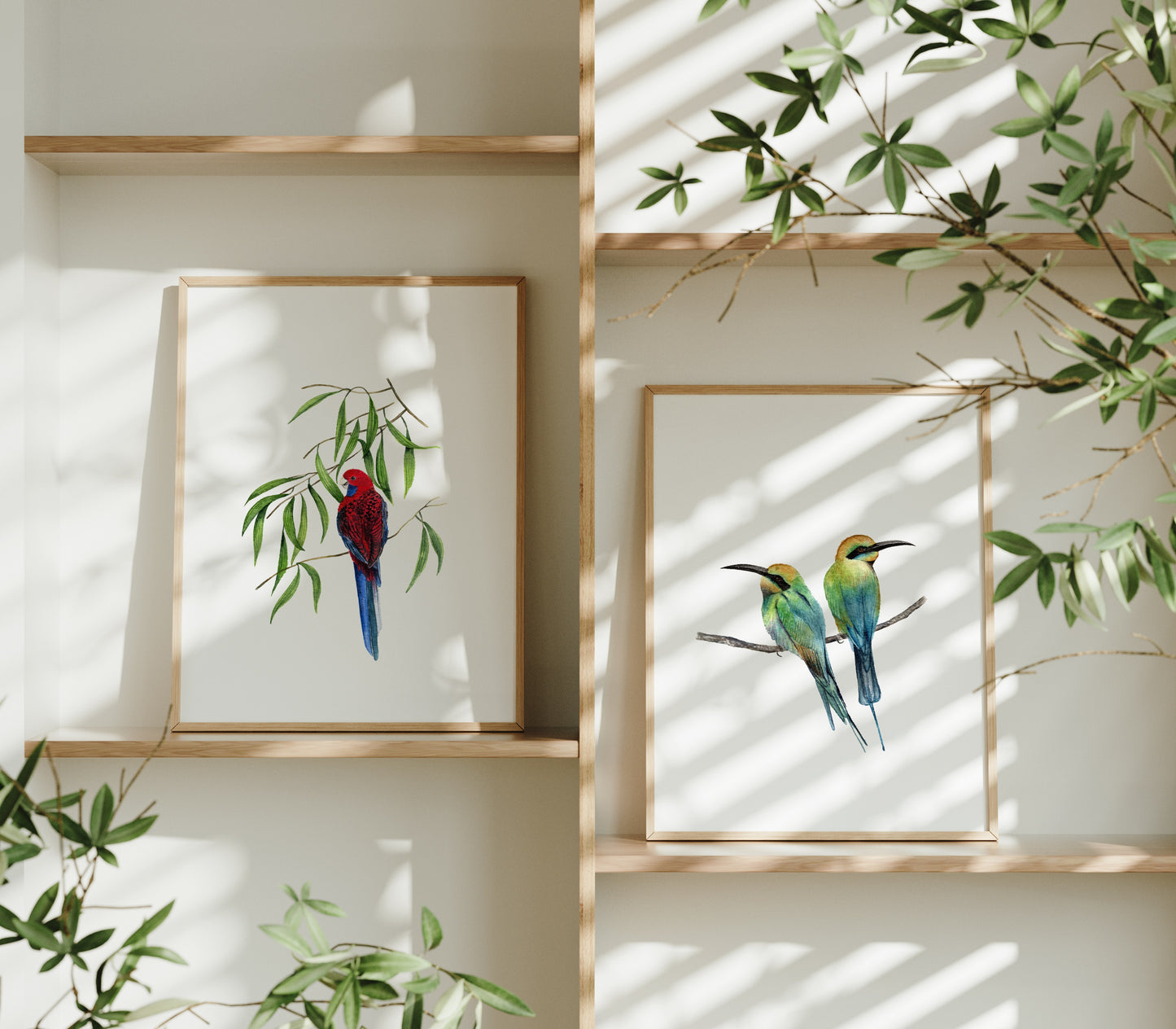'Melissai' Rainbow Bee Eaters Fine Art Print