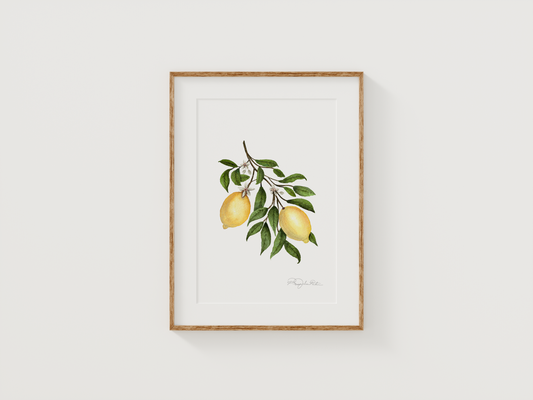 Lemon Blossom | Original Painting