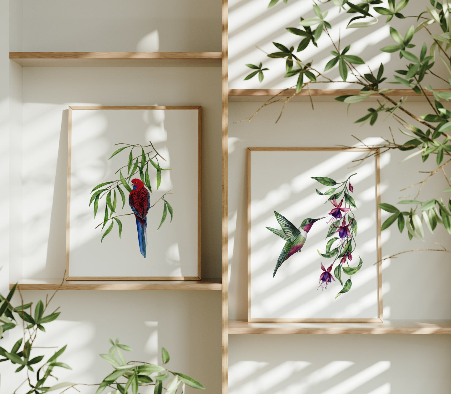 Celeste | Hummingbird Fine Art Print