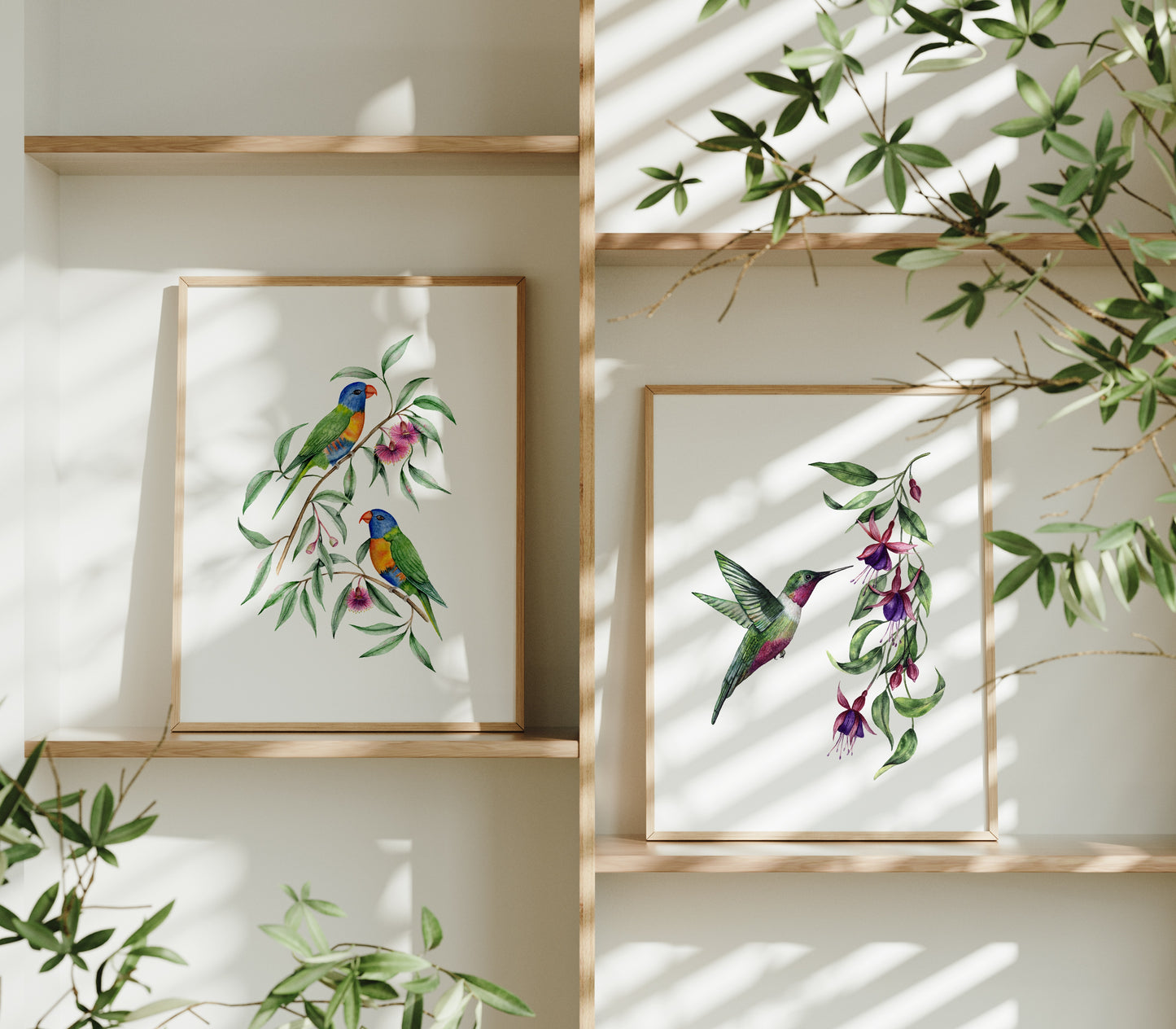'Celeste' Hummingbird Fine Art Print